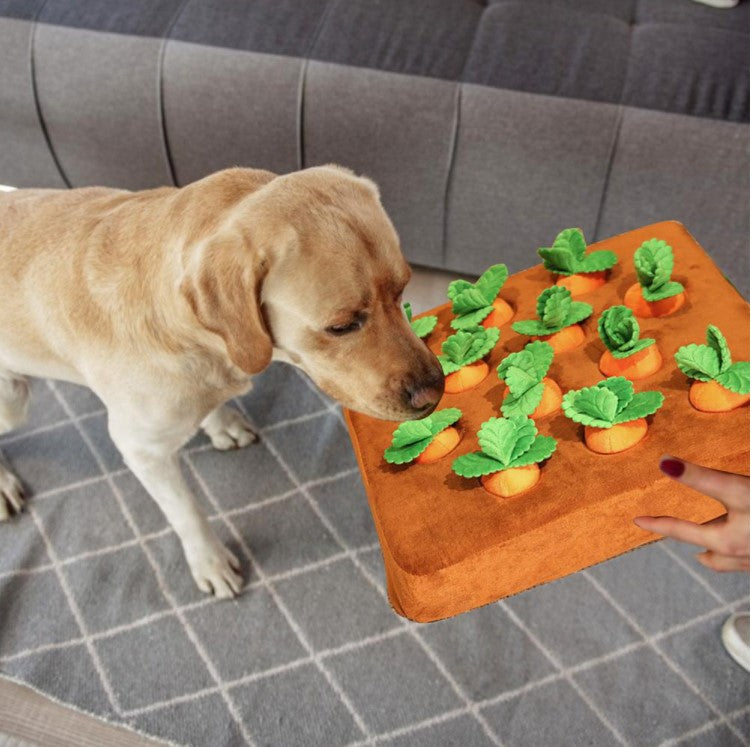 🥕Carrot Plush Toy for Dogs – Interactive Pull-Out Toy | Carrot Patch Mat