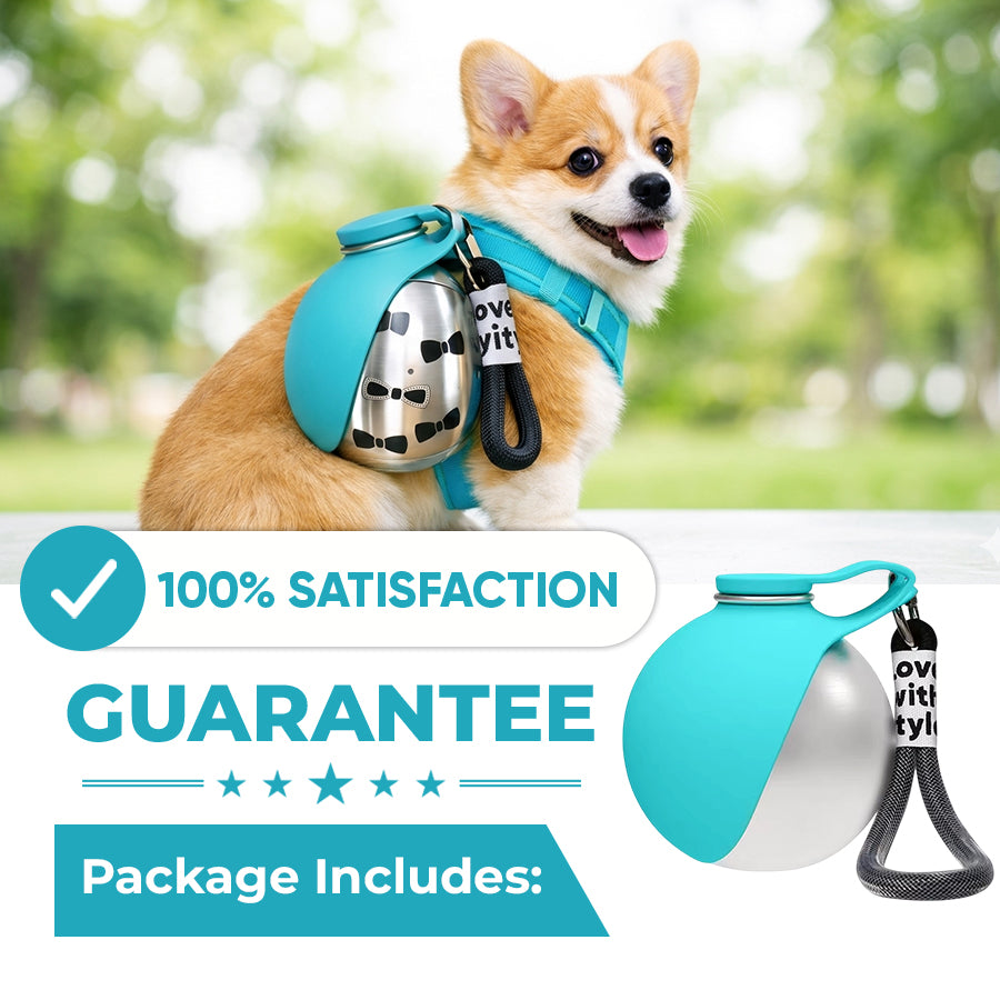 🐕50% OFF🔥 2-in-1 Portable Dog Water Bottle for Small Dogs - Leak-Proof & Compact