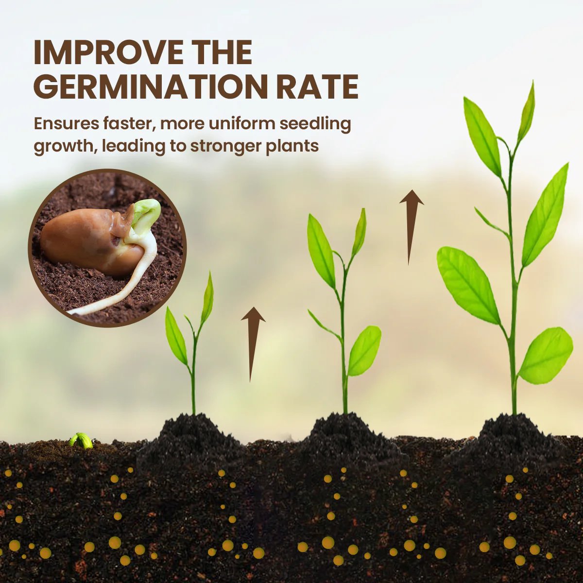 🏆 Limited Time Deal -￡8.8!!⭐75K+ SOLD🌳Soil Pro Activator