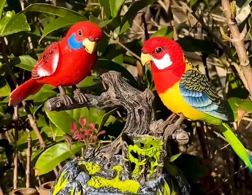 🎁Hot Sale 50% OFF⏳Electric Battery Operated Control Voice-Parrots