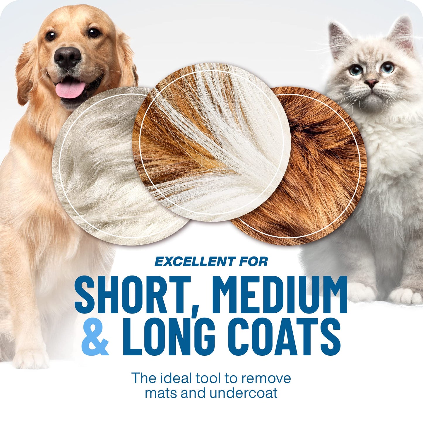 🐾  Last Day Special Price £9.99 !  🏆 Professional Deshedding Tool For Dogs And Cats – Gentle On Skin, Efficient Grooming & Comfortable Grip Design ✂️