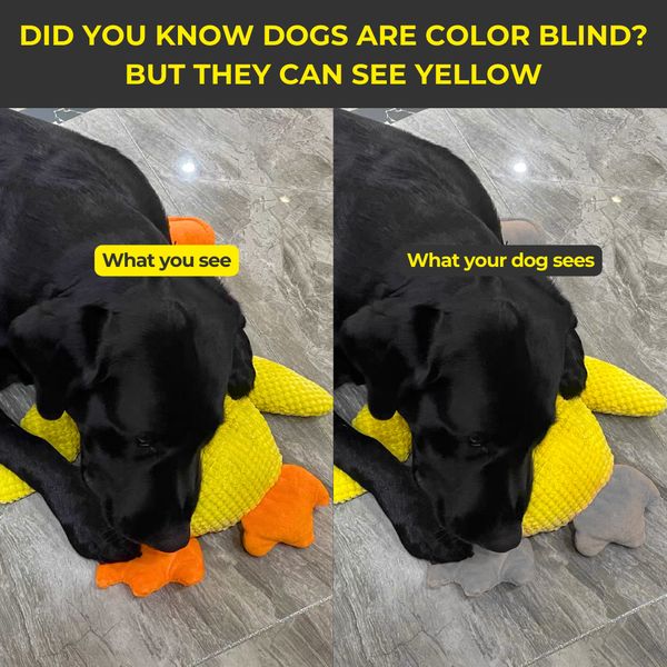 🎃Halloween Deal 50% OFF!🦆Quacking Duck Plush Dog Toy – Soft Interactive Cuddle Toy
