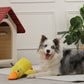🎃Halloween Deal 50% OFF!🦆Quacking Duck Plush Dog Toy – Soft Interactive Cuddle Toy