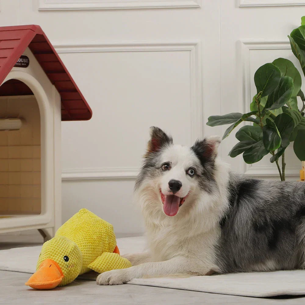🎃Halloween Deal 50% OFF!🦆Quacking Duck Plush Dog Toy – Soft Interactive Cuddle Toy