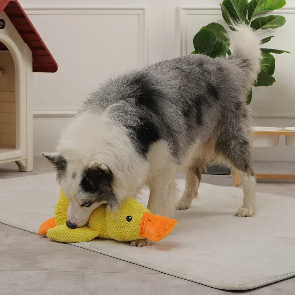 🎃Halloween Deal 50% OFF!🦆Quacking Duck Plush Dog Toy – Soft Interactive Cuddle Toy