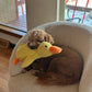 🎃Halloween Deal 50% OFF!🦆Quacking Duck Plush Dog Toy – Soft Interactive Cuddle Toy