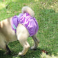 🐾   🐶Washable Pet Diapers for Female Male Dogs, Reusable Doggy Diapers