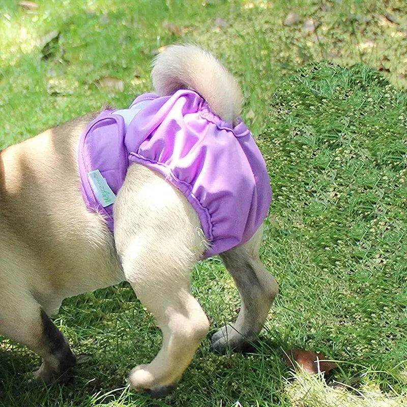 🐾   🐶Washable Pet Diapers for Female Male Dogs, Reusable Doggy Diapers