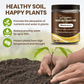 🔥BUY 1 GET 1 FREE🔥Soil Improvement Loosening Agent