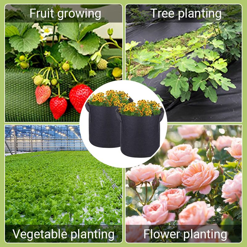 🔥50% OFF🔥Micro Aerated Geotextile Plant Grow Bag