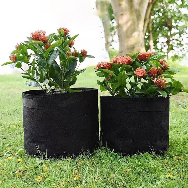 🔥50% OFF🔥Micro Aerated Geotextile Plant Grow Bag