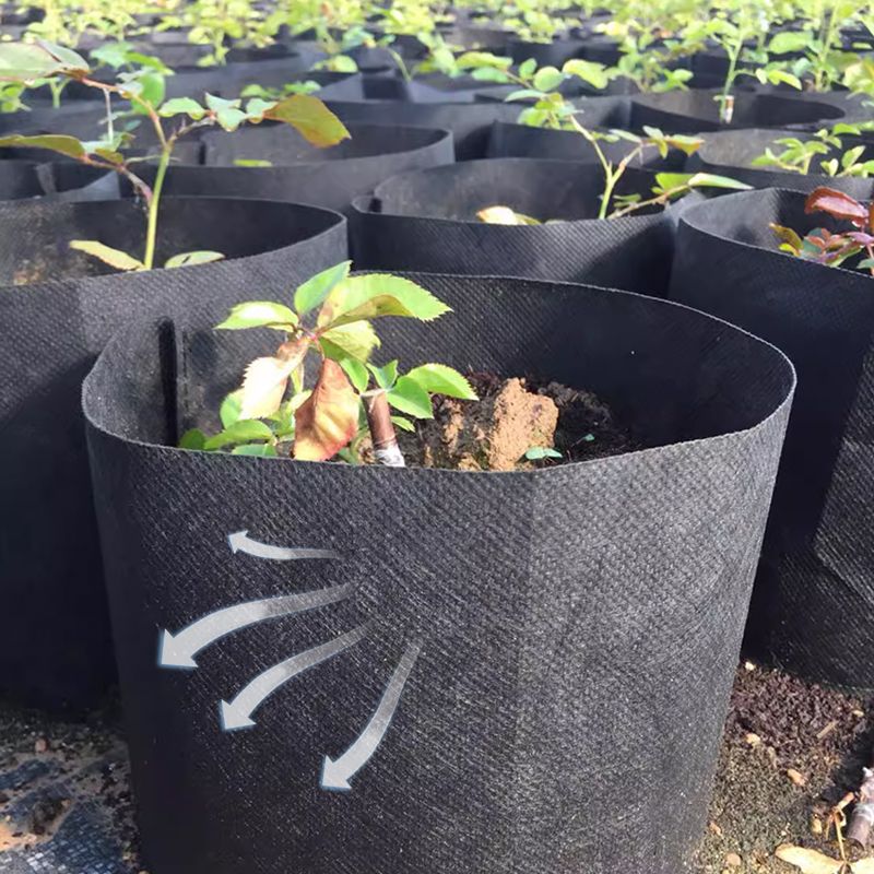 🔥50% OFF🔥Micro Aerated Geotextile Plant Grow Bag