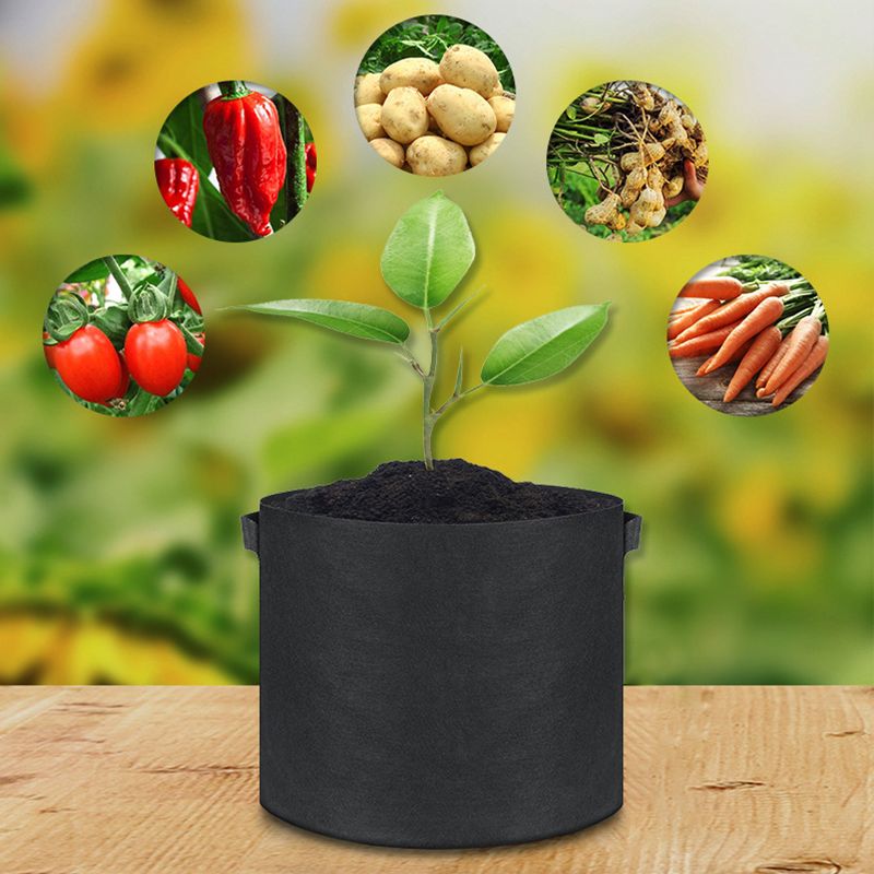 🔥50% OFF🔥Micro Aerated Geotextile Plant Grow Bag