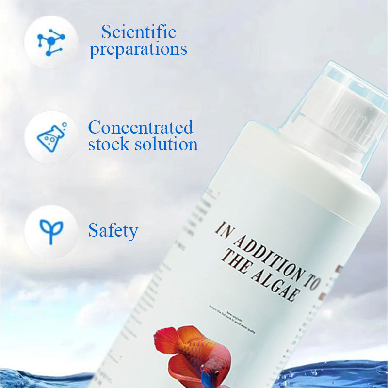 🏆 Hot Sale 50% OFF 🔥Buy more save more🎁Effective Algae Control for Aquarium