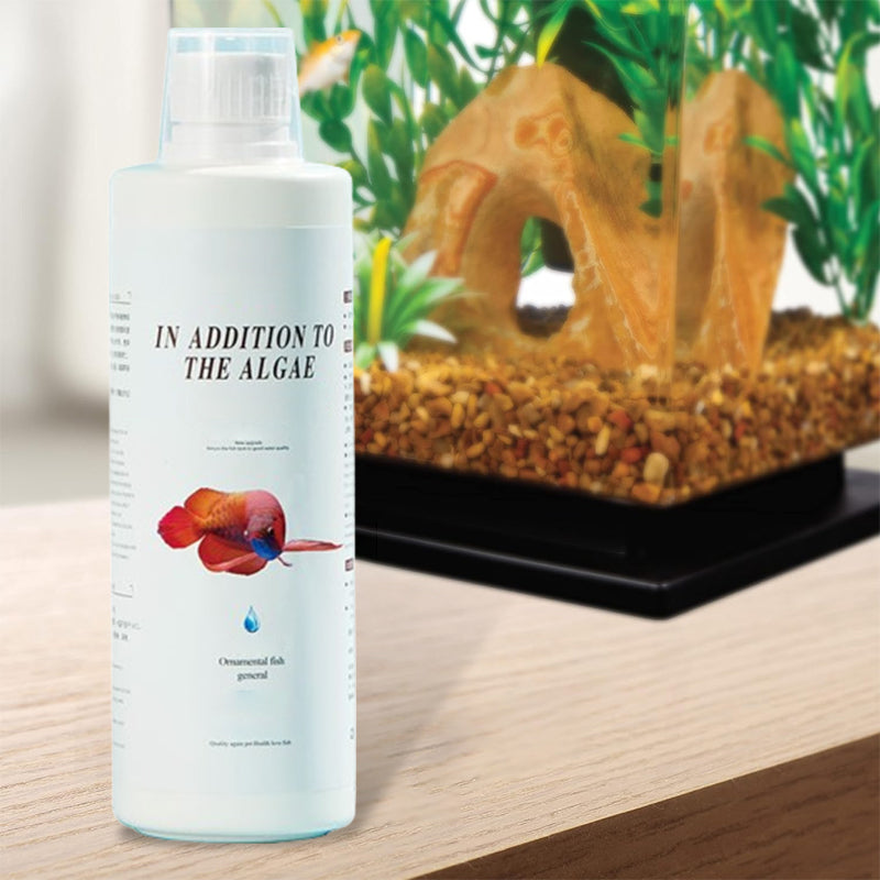 🏆 Hot Sale 50% OFF 🔥Buy more save more🎁Effective Algae Control for Aquarium