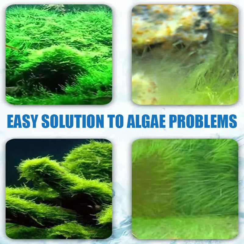 🏆 Hot Sale 50% OFF 🔥Buy more save more🎁Effective Algae Control for Aquarium