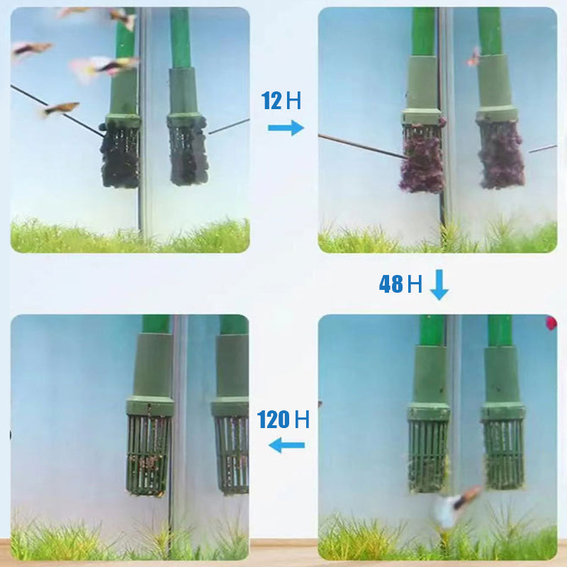 🏆 Hot Sale 50% OFF 🔥Buy more save more🎁Effective Algae Control for Aquarium