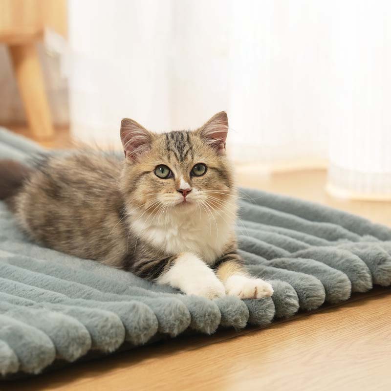 🐱Soft Plush Cat Bed Pad✨