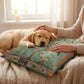⏳Limited-time 50% off⏰Decorative Cushion Cover for Couch & Bed🛋️🛏️