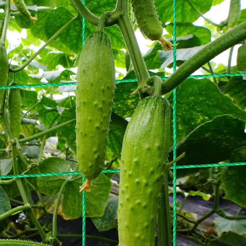 🔥Hot Sale 50% OFF🏠A-Frame Garden Trellis for Climbing Plants