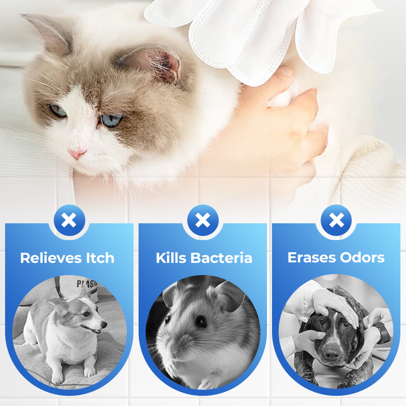 Pet No-Rinse Cleaning Scented Gloves