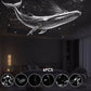 🔭 50% OFF NOW! 🌌 2-in-1 Starry Sky Projector & Night Light – Dual Modes, Interchangeable Films & USB Powered – Calm Nights, Magical Rooms 🛌
