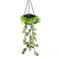 ☀️ 50% OFF – Solar Ivy Lights with Artificial Leaves – Waterproof, 8 Lighting Modes & Flexible – Perfect for Gardens, Balconies & Wall Decoration 🌿💡✨