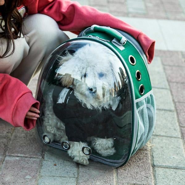 😸Space Aat Pet Bag