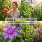 💐50% OFF! Heavy-Duty Garden Trellis Netting – Withstands Wind & Plants ☀️💪【Limited Offer】