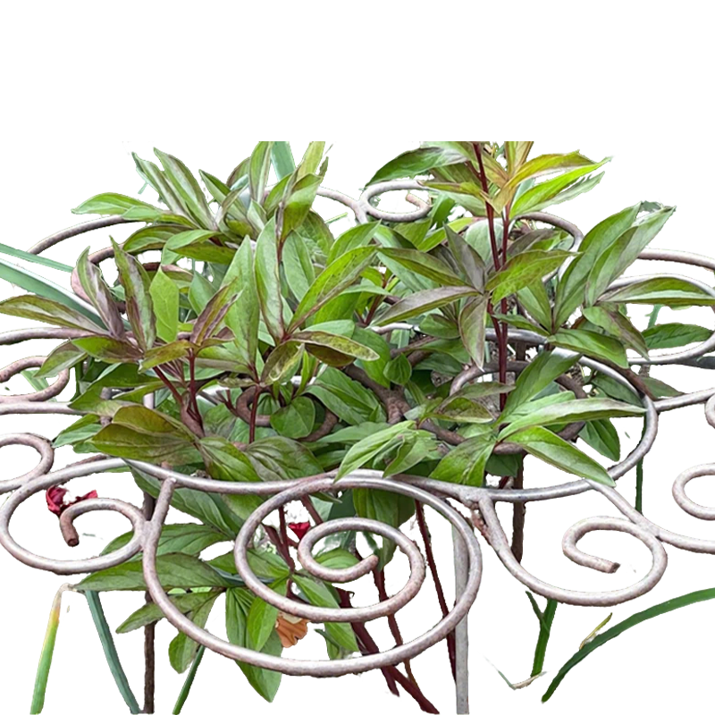 Heavy-Duty Flower Support Frame