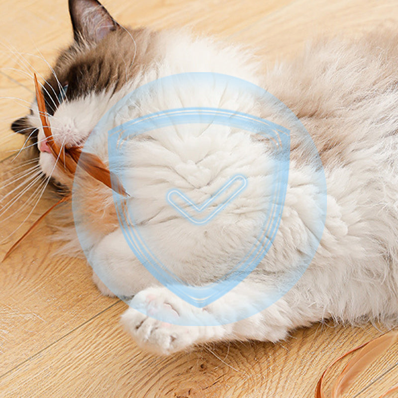 Interactive Cat Bouncy Ball with Feather