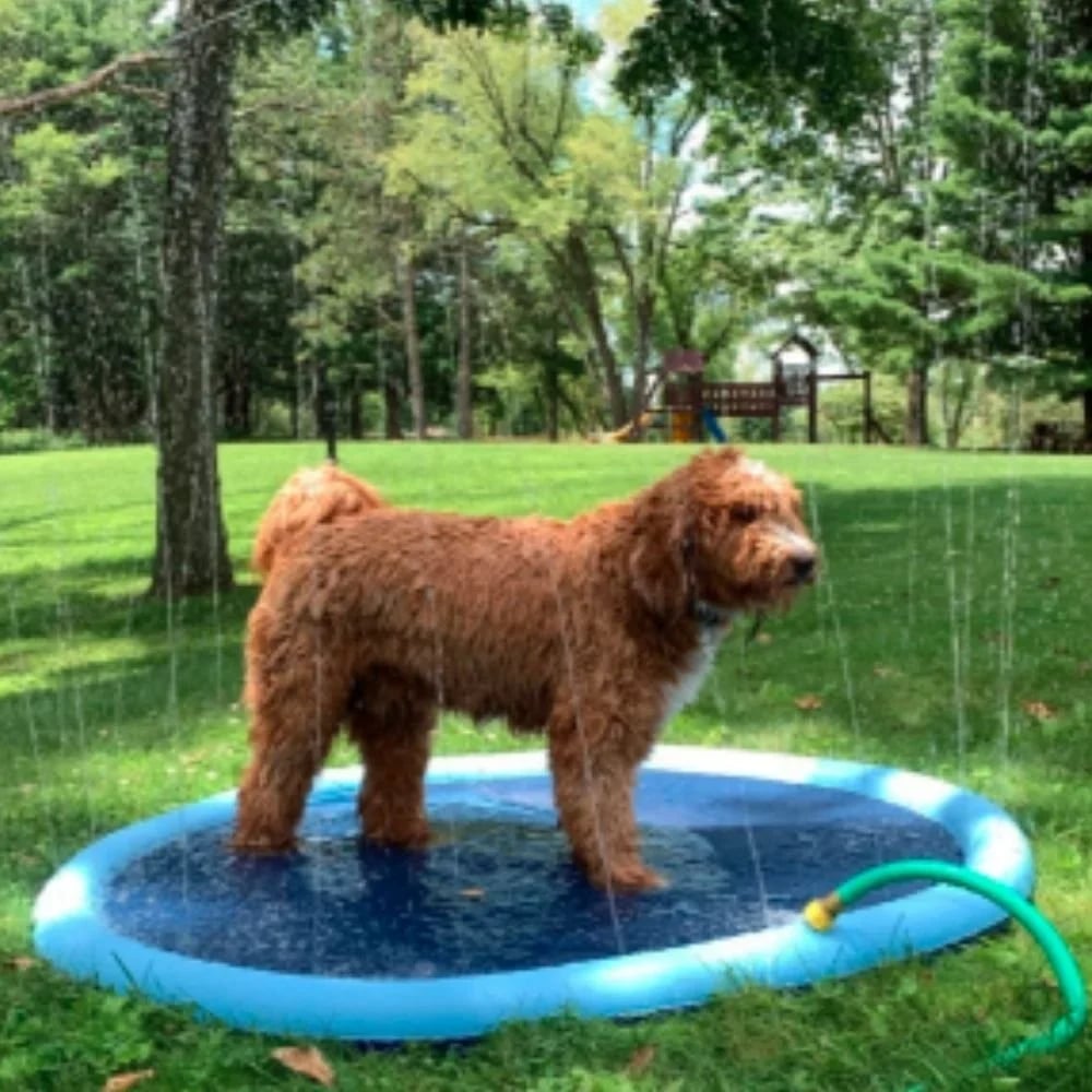 🏊SUMMER HOT SALE 50% OFF NOW! 🌊Foldable Dog Splash Pad🇬🇧 Big Sprinkler Mat for Garden & Beach 🌊☀️ | Non-Slip, Quick-Dry Play Pool for Dogs 🐾 | Folds Flat in Seconds! 🎒🐕