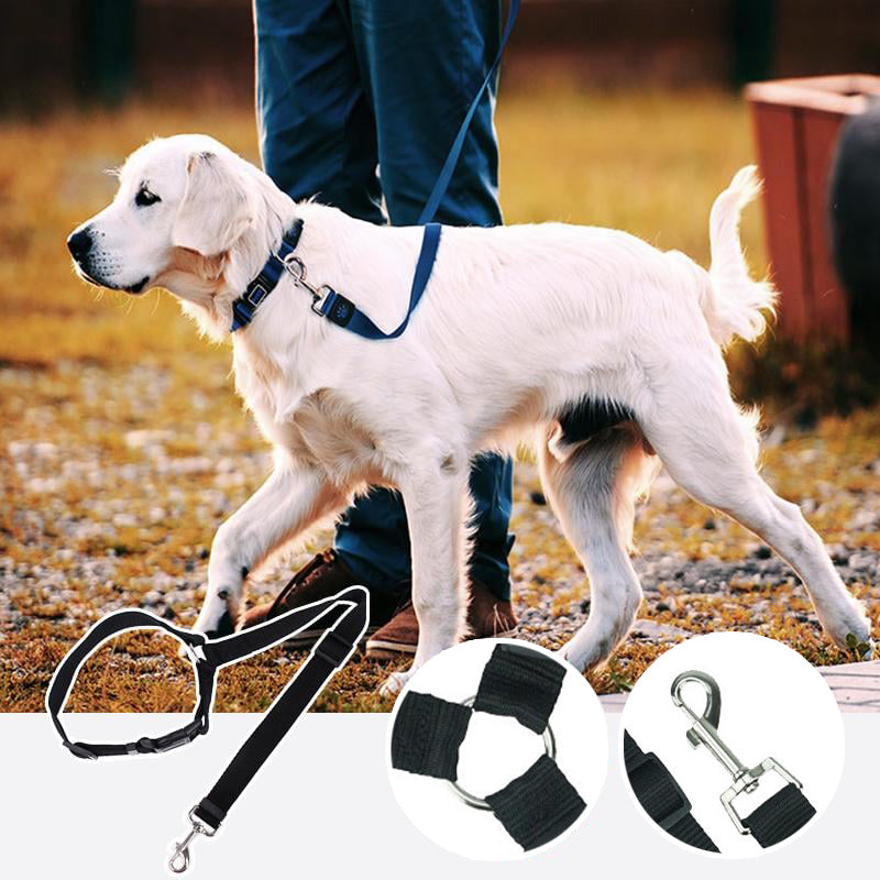 🔥Hot Sale-Retractable Dog Car Safety Belt