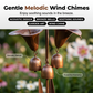 ⏳Time-Limited Special⏰Calla Lily Garden Stake with Bell Chimes