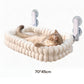 ⏳🔥LIMITED-TIME 50% OFF! ⏰🐱Foldable Suction Cat Window Hammock |Folds Flat Against the Window When Not in Use☁️