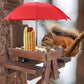 🐿️☂️Mini Squirrel Feeder Picnic Table with Umbrella