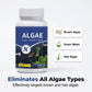 Fish Tank Algae Remover Tablets for Clear Water