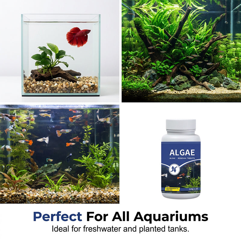 Fish Tank Algae Remover Tablets for Clear Water