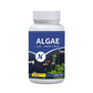 Fish Tank Algae Remover Tablets for Clear Water