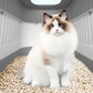 Foldable Drawer-Style Cat Litter Box