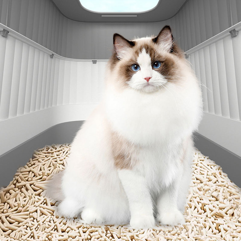 Foldable Drawer-Style Cat Litter Box