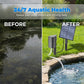 📢📢50% OFF !! ⏰Solar Pond Aerator with Air Pump