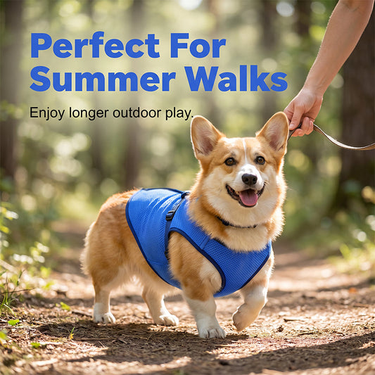 🐶 LIMITED-TIME 50% OFF! ✨ Cooling Dog Vest – Breathable Mesh, Heat Relief, Active Pets 🌊