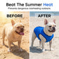🐶 LIMITED-TIME 50% OFF! ✨ Cooling Dog Vest – Breathable Mesh, Heat Relief, Active Pets 🌊