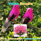 🐦12PCS Artificial Feathered Birds with Clips