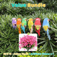 🐦12PCS Artificial Feathered Birds with Clips