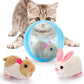 🐹 Electric Plush Hamster Rolling Ball Toy – Crafted from child-safe, soft plush materials with no sharp edges. Built to withstand bumps & tumbles, and easy to wipe clean after messy play 🧼
