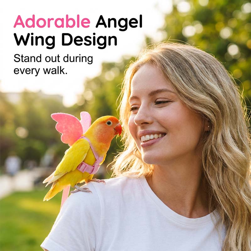🪽Angel Wing Bird Harness & Leash Set