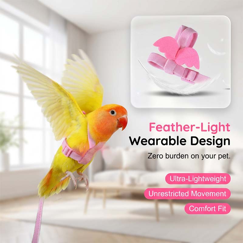 🪽Angel Wing Bird Harness & Leash Set