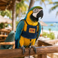 📢📢30% OFF !! ⏰Breathable Pet Bird Harness Vest☁️